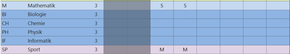 Eine Vorlage, bei der Mathe und Sport in der EF schon belegt sind.