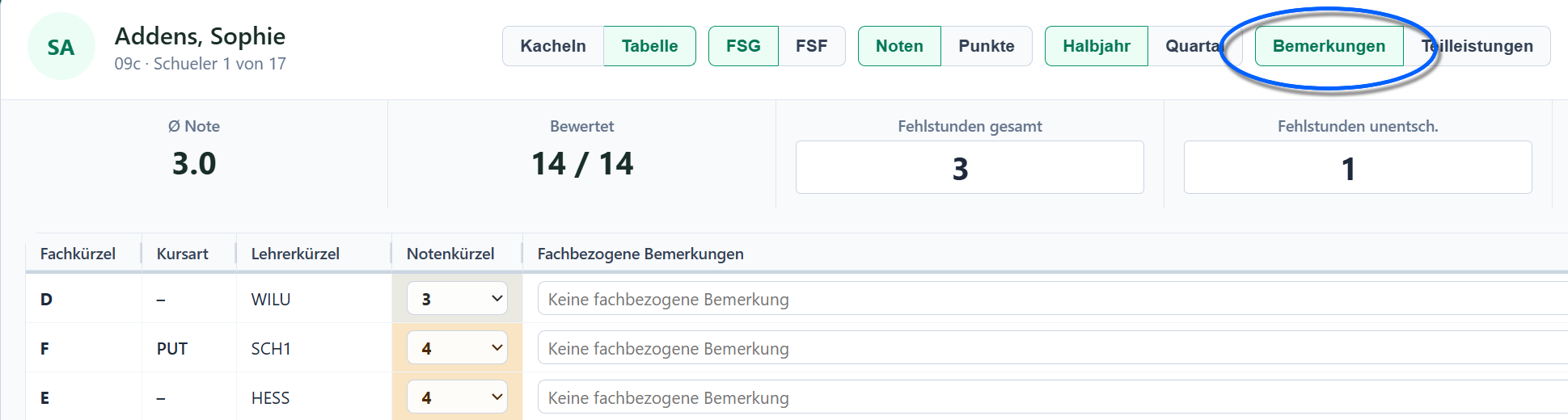 Fachbezogene Bemerkungen im Tabellenmodus